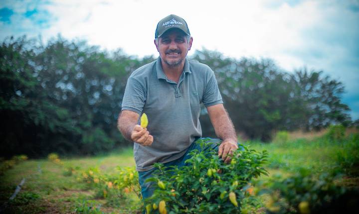 Aplicativo PVH+ disponibiliza Cadastro Municipal do Produtor Rural e amplia acesso aos serviços