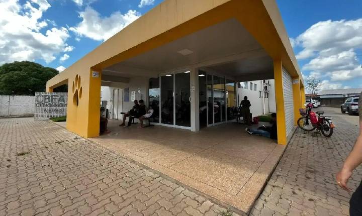 Atendimentos da Clínica de Bem-Estar Animal serão retomados na terça-feira após feriado