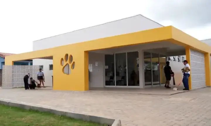 Clínica do Bem-Estar Animal de Porto Velho registra 6,6 mil atendimentos