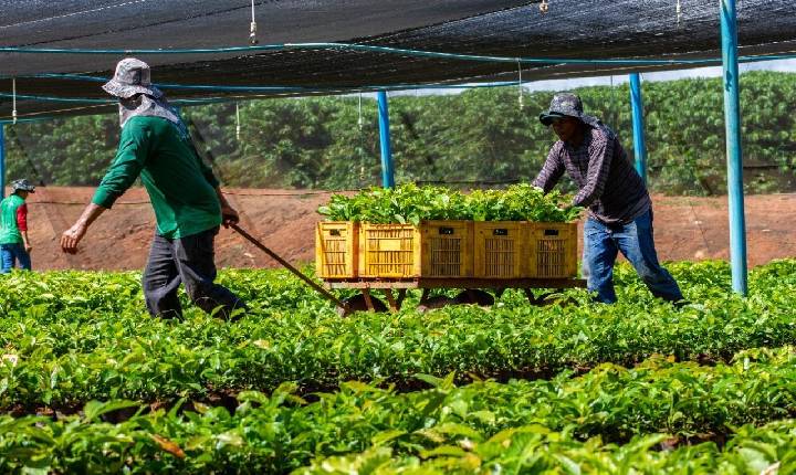 Deputado Alan Queiroz destina R$ 50 mil para fortalecer produção rural em São Francisco do Guaporé