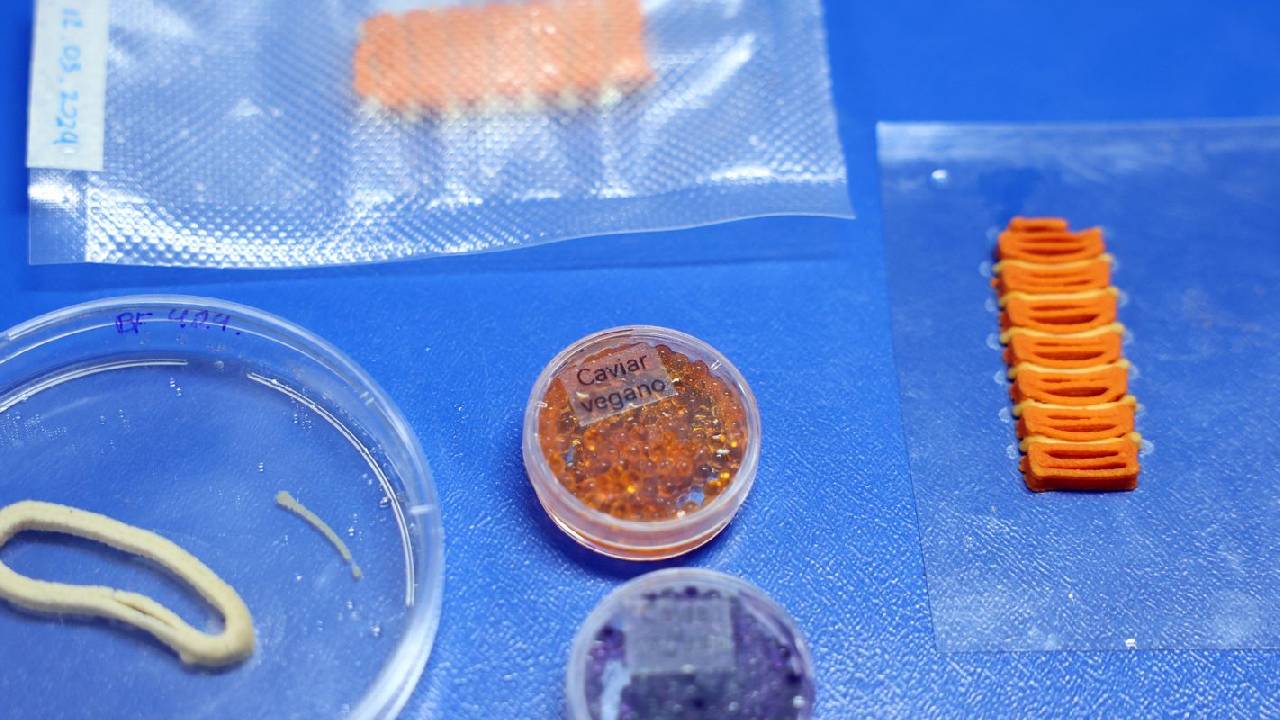 Embrapa produz em laboratório salmão, caviar e anéis de lula veganos
