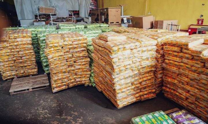 Entrega Domiciliar de Fraldas é Garantida pelo Log Fraldas para Pacientes em Porto Velho