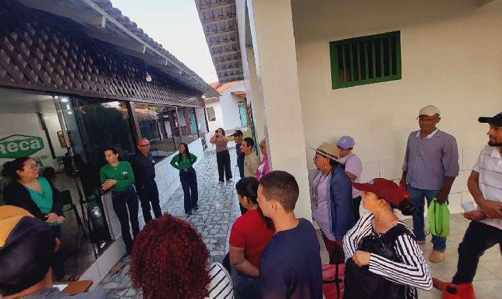Intercâmbio fortalece conhecimentos sobre Sistemas Agroflorestais e produção sustentável em Nova Califórnia