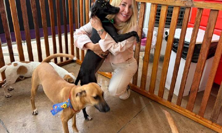 Leis de Ieda Chaves ampliam proteção animal e apoio a cuidadores em Rondônia