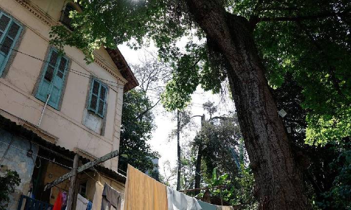 Lições de resistência em quilombo urbano na zona sul do Rio