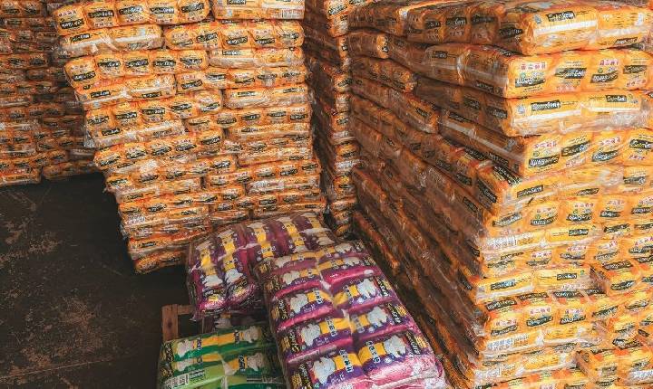Log Fraldas já proporciona atendimento domiciliar em Porto Velho
