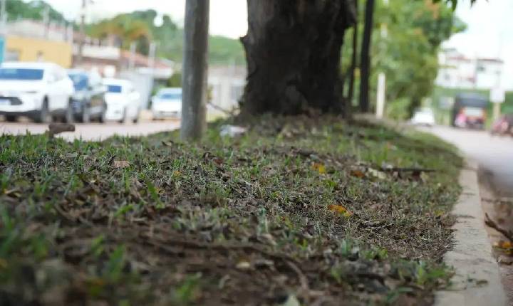 Novas iniciativas de limpeza transformam Porto Velho