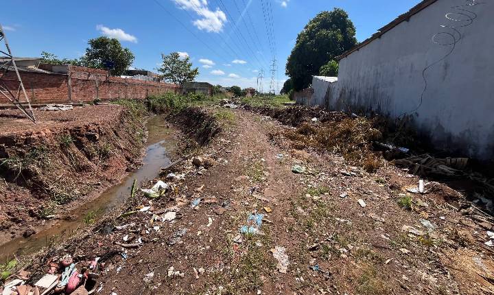 Galeria de Imagem