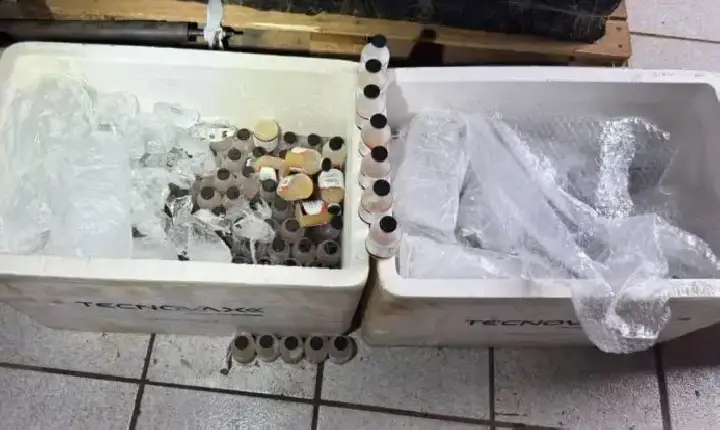 Polícia Militar apreende frascos de vacina veterinária contrabandeados em Rondônia