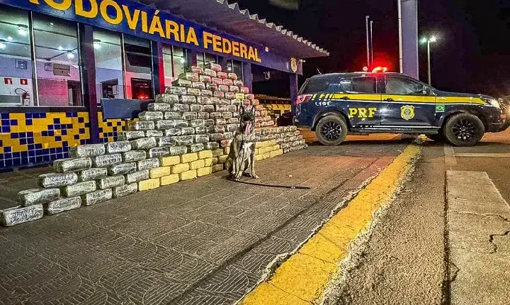PRF apreende 540 kg de skunk em caminhão na BR-364