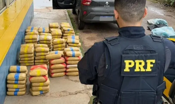 PRF apreende quase 175 kg de skunk e prende dois homens na BR-364