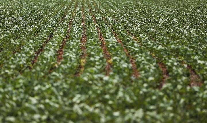 Reunião com bancada do agro termina sem acordo sobre dívidas rurais