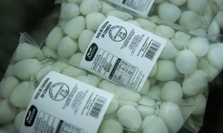 Veterinários do SIM promovem segurança alimentar em Porto Velho