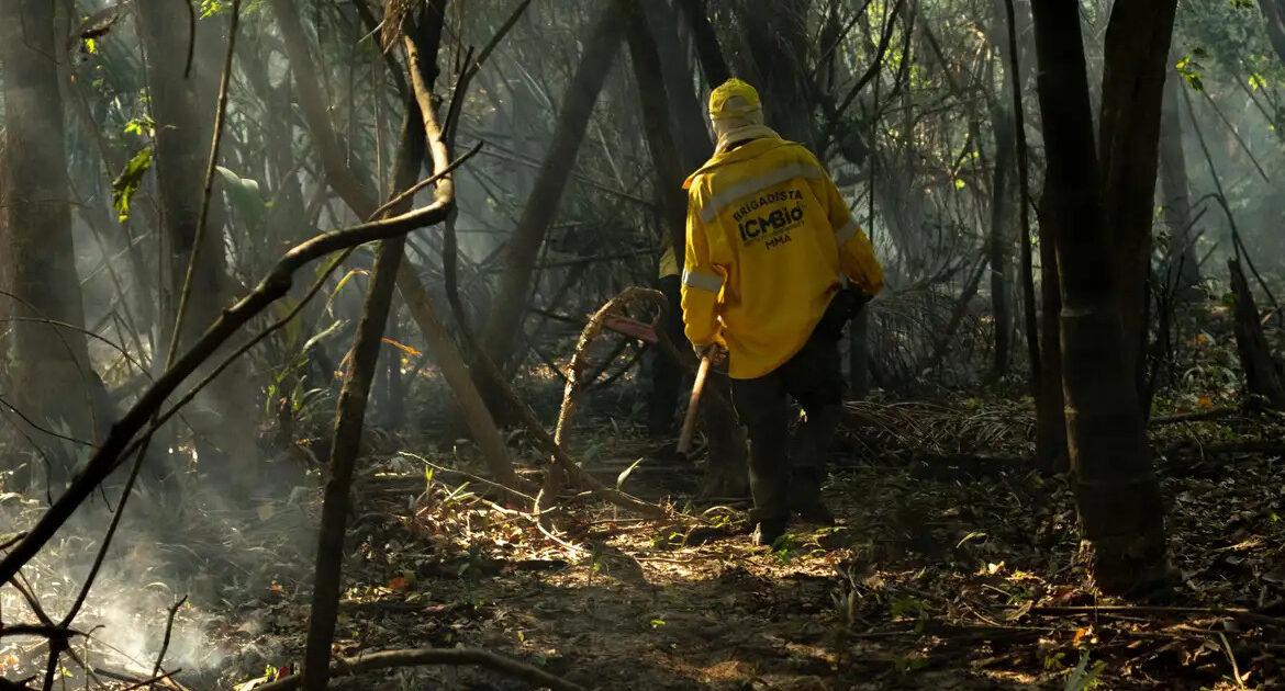 Amazônia tem o maior número de queimadas e incêndios em 17 anos