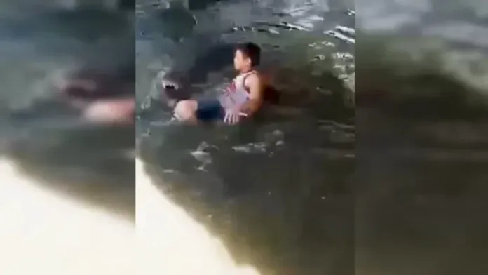 Turista confunde crocodilo de 4,5 m com estátua e é atacado