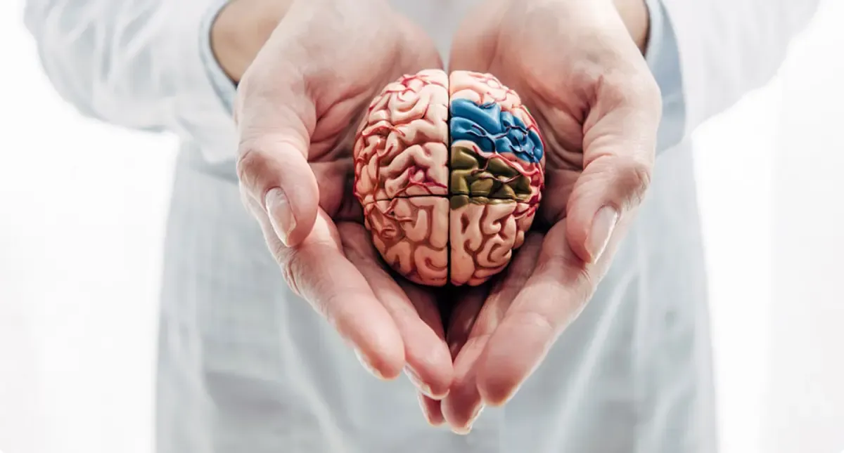 Prefeitura de Jaru abre processo seletivo para neuropisicólogo