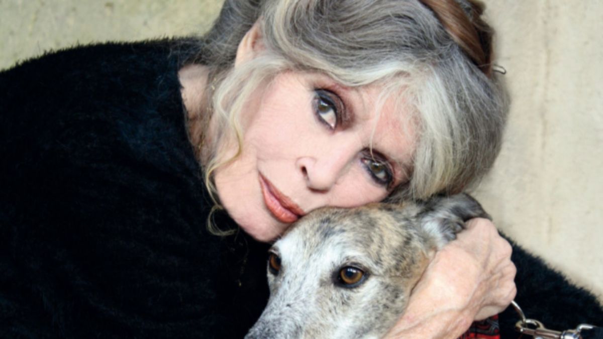 Brigitte Bardot foi defensora dos animais e criou fundação dedicada à causa