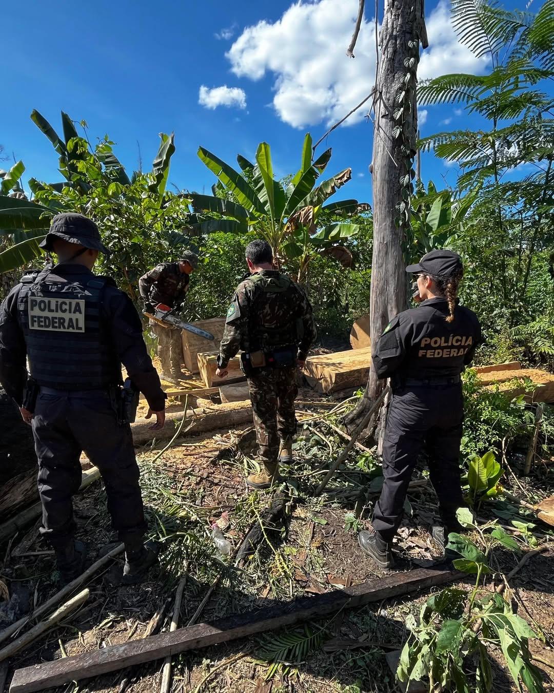 PF deflagra Operação Lage em Chamas contra grilagem e incêndio criminoso na Terra Indígena Igarapé Lage