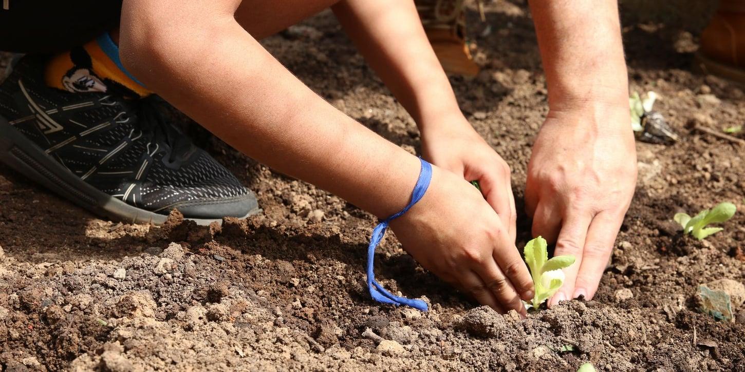 Candidatos são convocados a apoiar a agroecologia