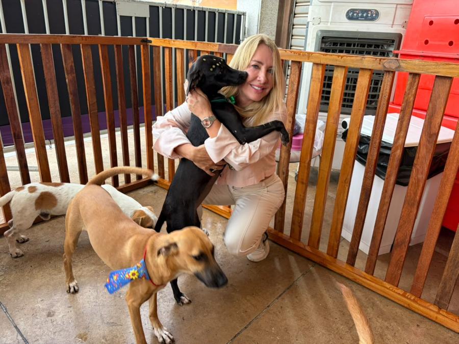 Leis de Ieda Chaves ampliam proteção animal e apoio a cuidadores em Rondônia