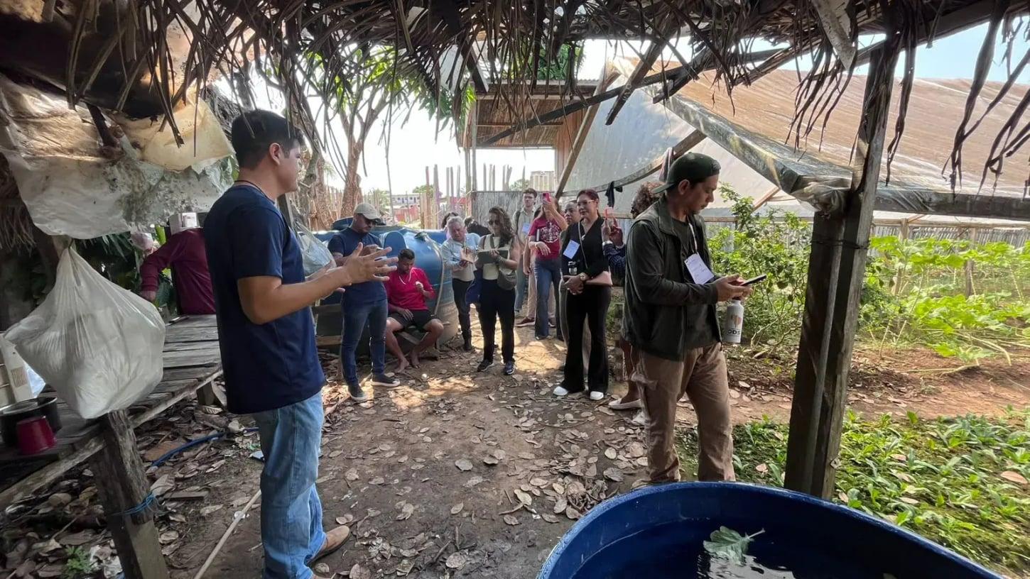 Perspectivas para a produção de alimentos se expandem com a agricultura urbana no Brasil
