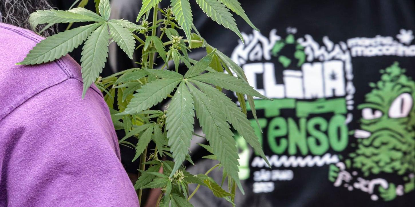 Prisão preventiva se destaca em flagrantes por drogas em comparação a outros delitos