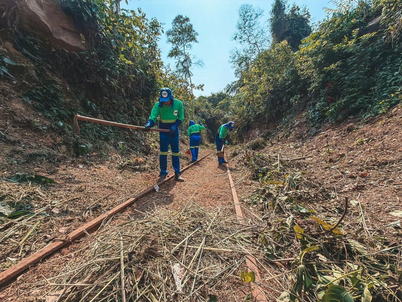 Revitalização da Estrada de Ferro Madeira-Mamoré inclui limpeza no Memorial Rondon