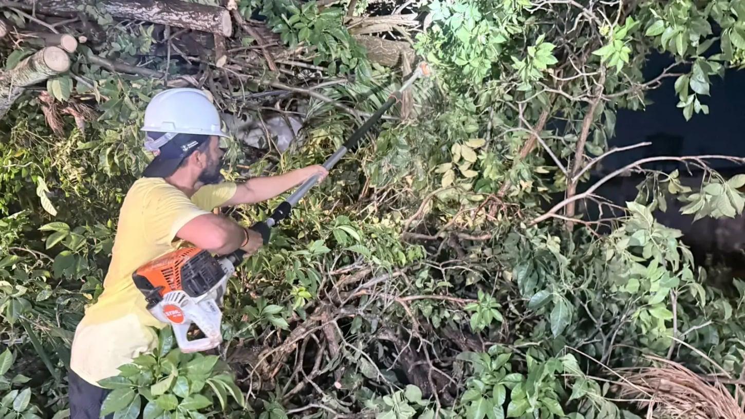 Equipes atuam na remoção de árvores após tempestade e intensificam as precauções frente às mudanças climáticas