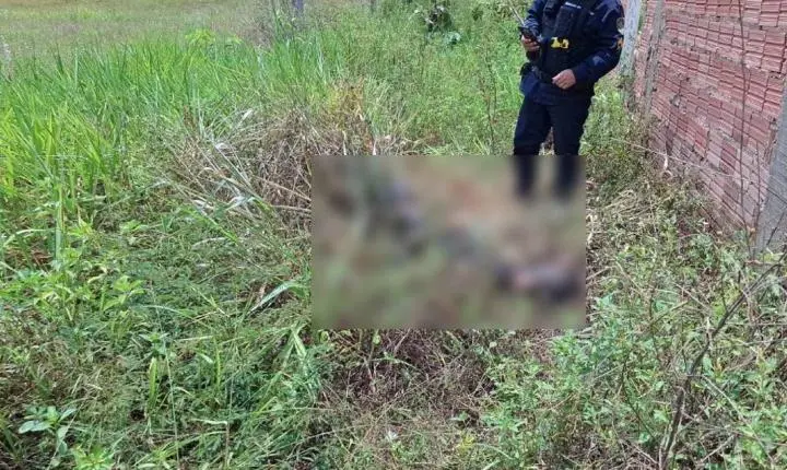 Corpo encontrado em matagal na zona Leste apresenta sinais de queimaduras e mãos amarradas