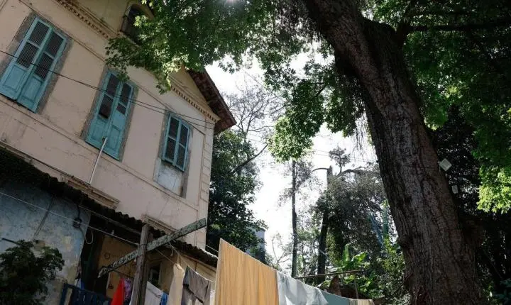 Lições de resistência em quilombo urbano na zona sul do Rio